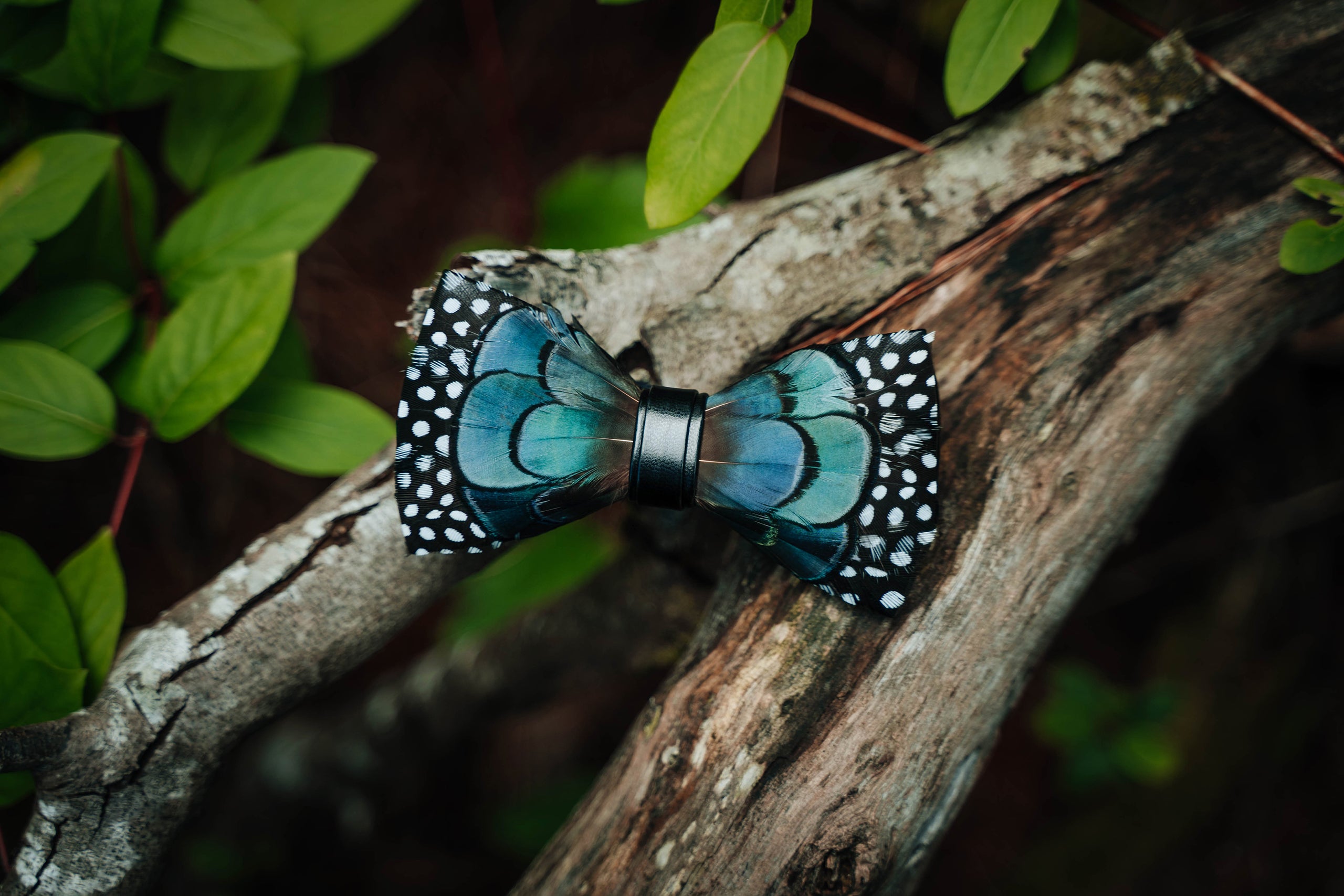 The Benefits Of Bird Feather Bow Ties - dullophob